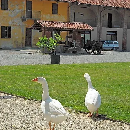 Antico Podere Propano